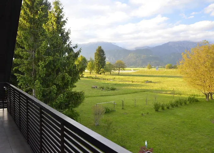 Apartment Galerija *